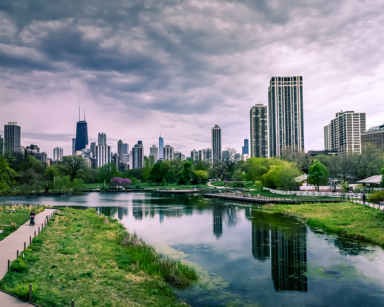 庄闲和游戏仪器