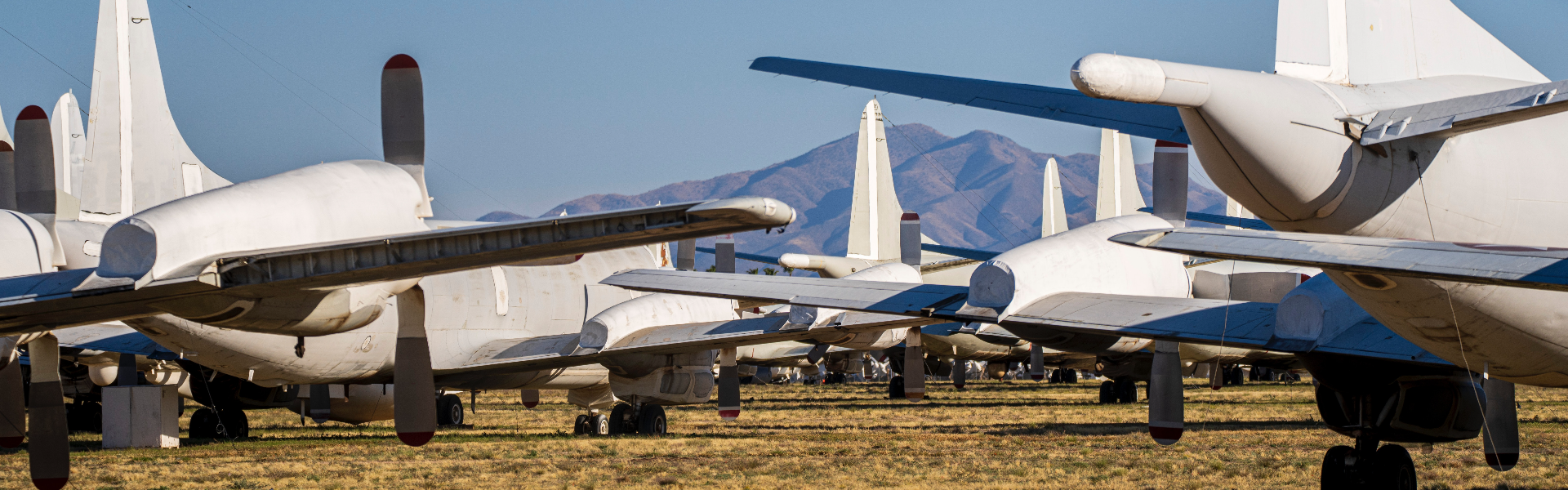 庄闲和游戏仪器